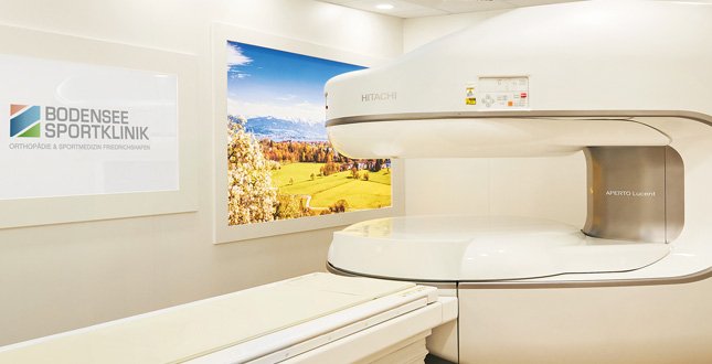 Dr. Nadja S. Friedrich